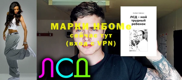 apvp Алзамай