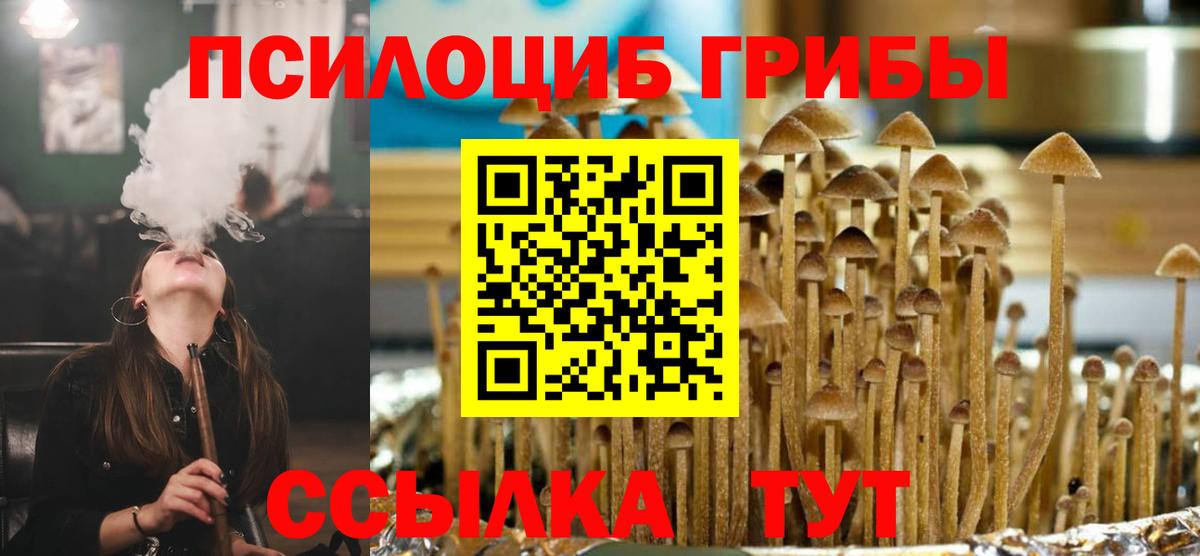 Псилоцибиновые грибы прущие грибы Дятьково